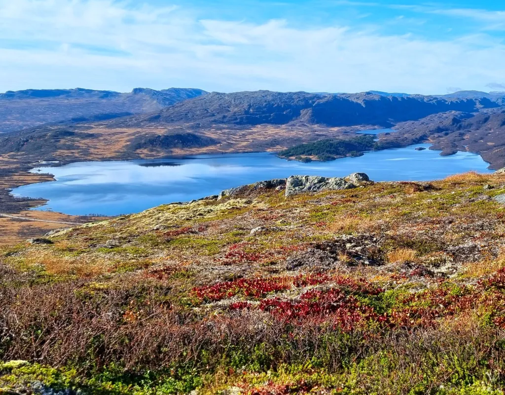Utsikt fra Bueggi mot Breidvatn og riksveg 9. Høstfarger.