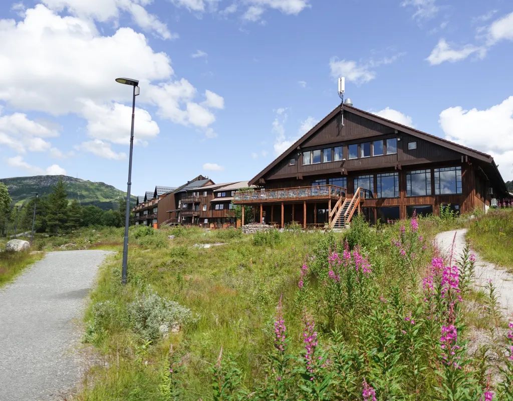 Hovdestøylen