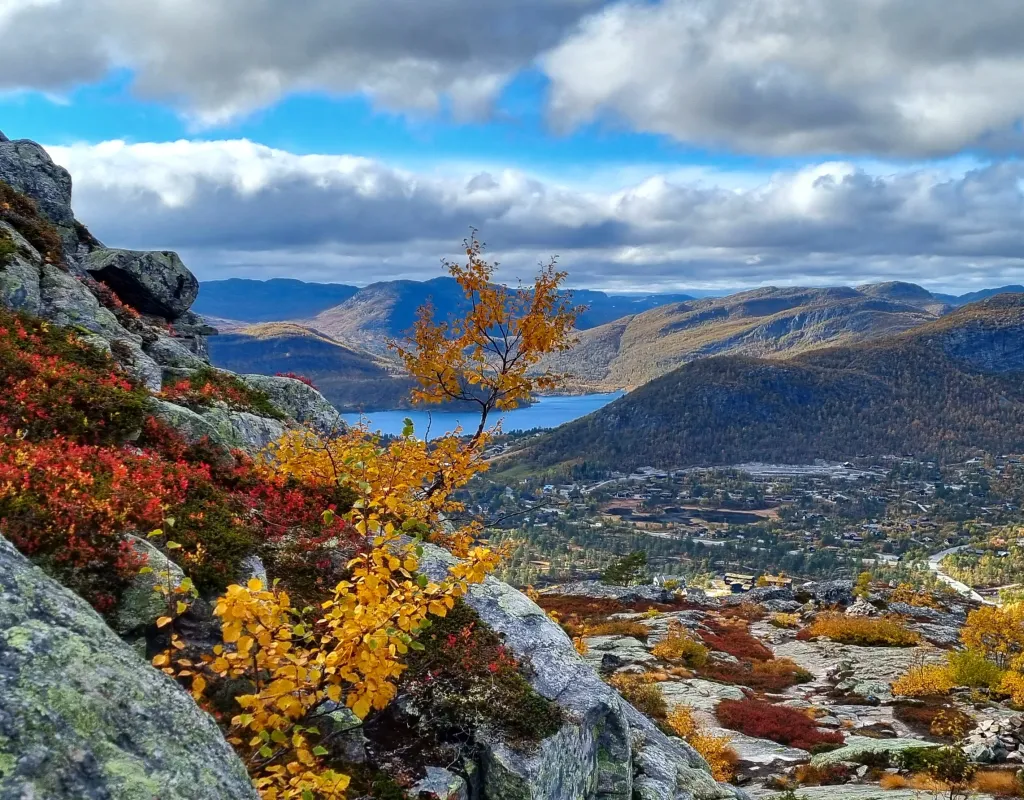 Utsikt over Hovden og fjellene fra Hartevassnuten. Høstfarger på busker og trær.