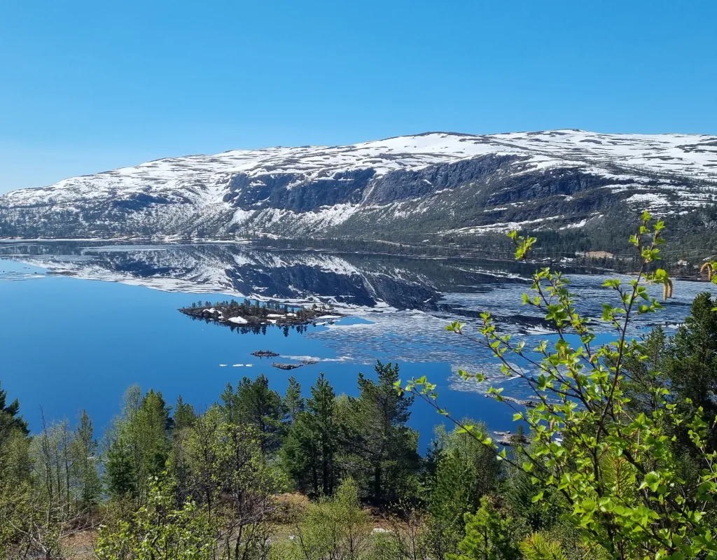 Utsikt over isfri innsjø, bjørk som spirer og fjell med litt snø