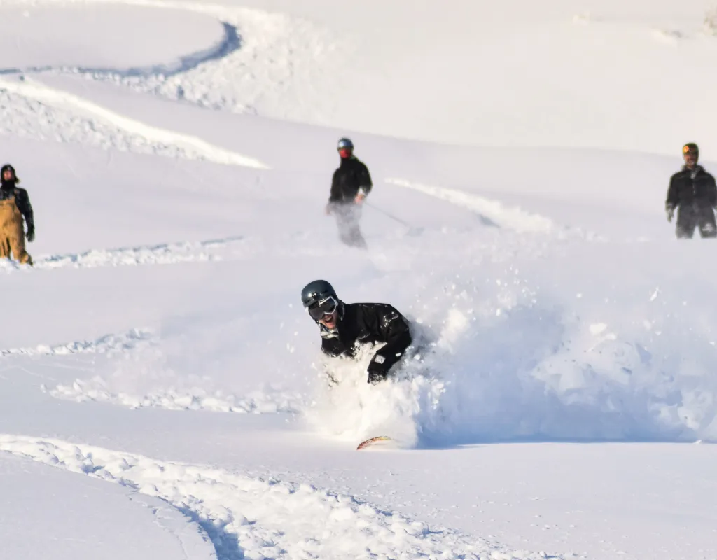 Vinter Pudder
